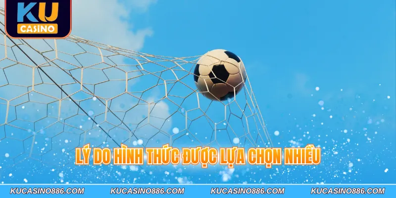 Lý do hình thức được lựa chọn nhiều